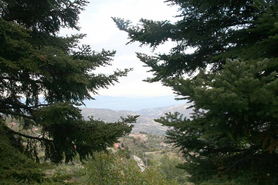 Pigi Tarlampa Hotel Ano Trikala Esterno foto